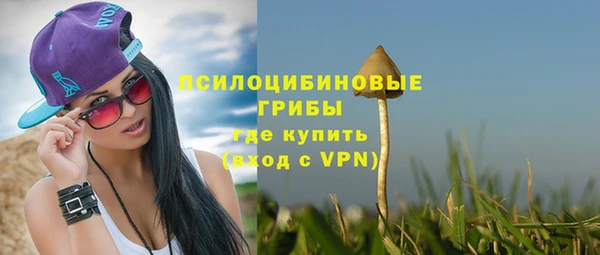 бошки Балахна