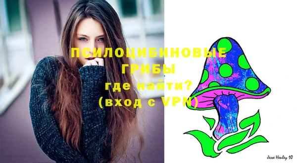 бошки Балахна