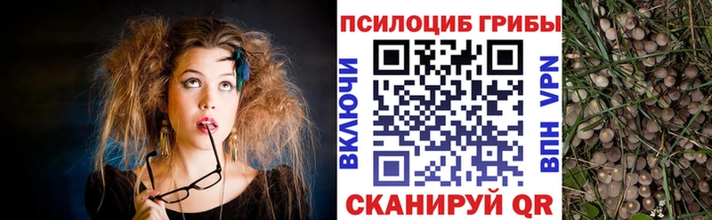наркотики  МЕГА ССЫЛКА  Псилоцибиновые грибы GOLDEN TEACHER  Белёв 